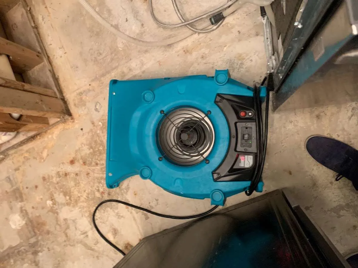 Air mover drying equipment for Mold Remediation & Removal in Willoughby Hills